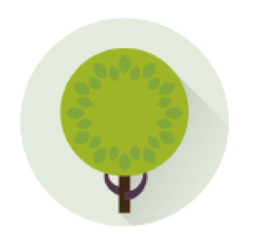 icon1